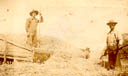 Postcards of farm life